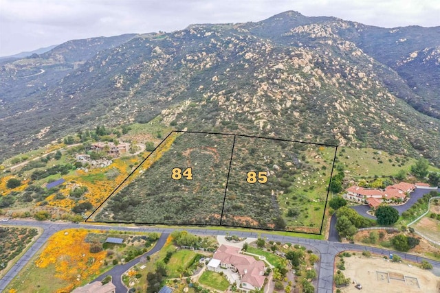 LOT84 Presilla Dr, Jamul, CA 91935 - photo 5