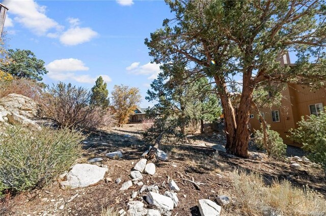 42565 Pegasus Way, Big Bear Lake, CA 92315 - photo 4