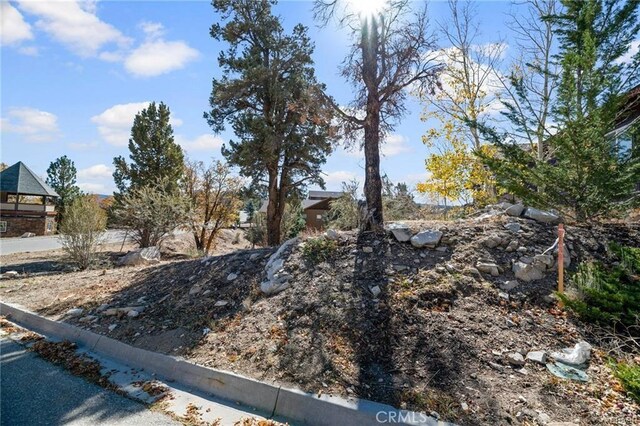42565 Pegasus Way, Big Bear Lake, CA 92315 - photo 10