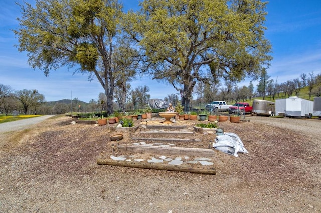 view of yard with a mountain view