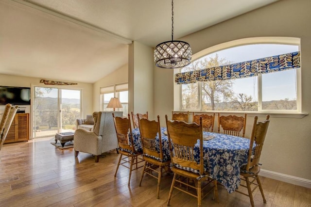 dining room with hardwood / wood-style flooring