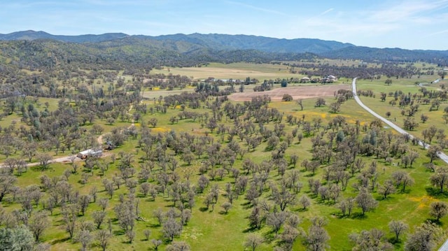 bird's eye view featuring a mountain view