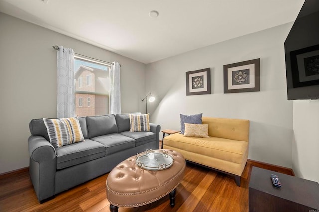 living room with wood-type flooring