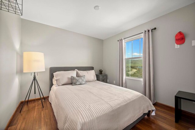 bedroom featuring dark hardwood / wood-style flooring