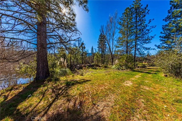04.53AC Wortham Rd, Oakhurst, CA 93644