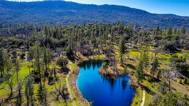 04.53AC Wortham Rd, Oakhurst, CA 93644