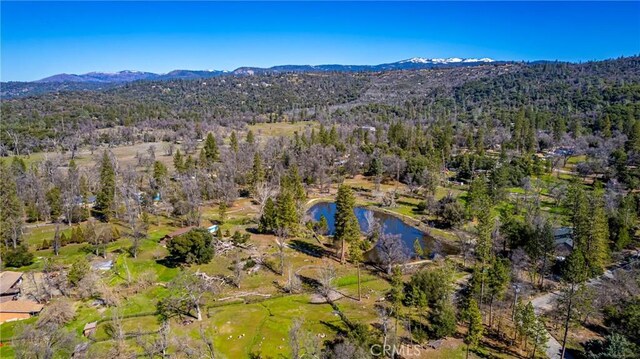 04.53AC Wortham Rd, Oakhurst, CA 93644