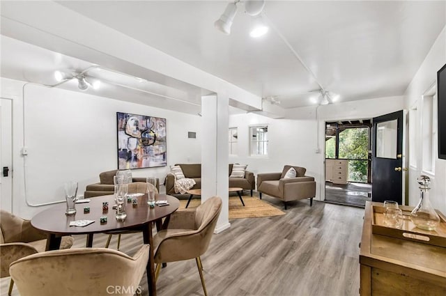 living room featuring ceiling fan and wood-type flooring