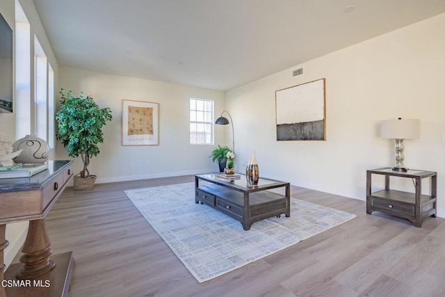 living room featuring light hardwood / wood-style flooring