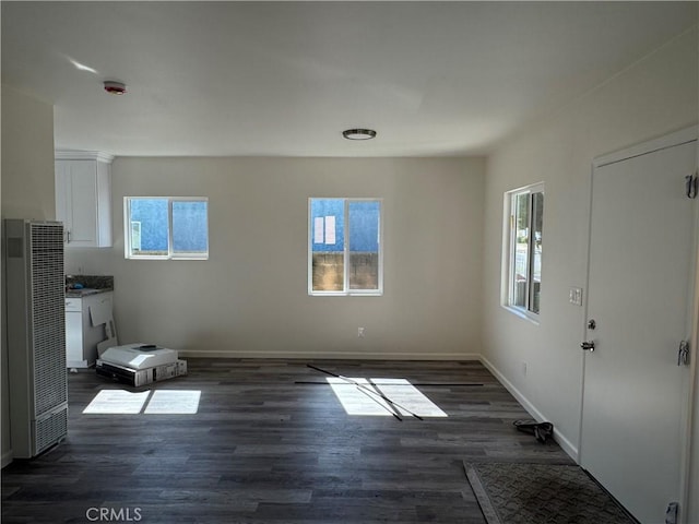 interior space with dark hardwood / wood-style flooring and a wealth of natural light