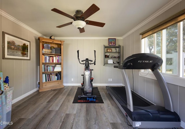 workout area with ornamental molding, a healthy amount of sunlight, ceiling fan, and wood finished floors