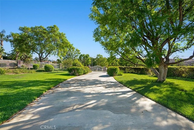 view of community with a yard