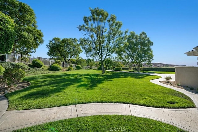 view of home's community featuring a yard