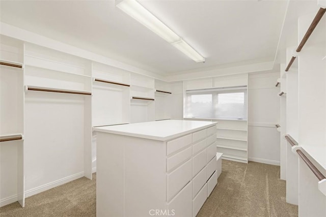 spacious closet with light colored carpet