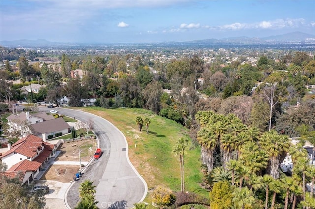 1389 Ocotillo Dr, Riverside, CA 92506 - photo 8