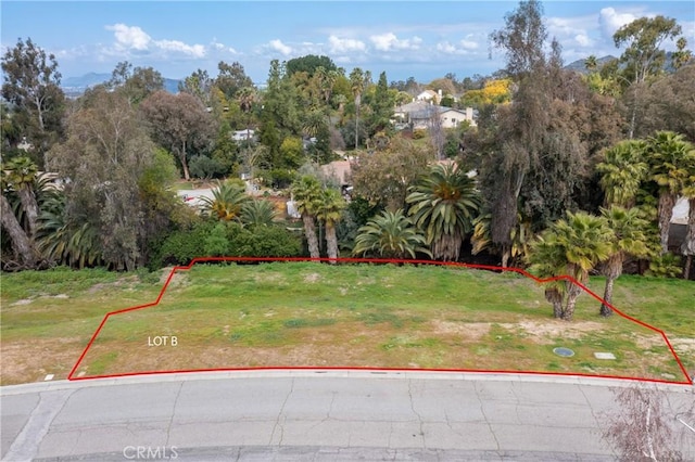 1389 Ocotillo Dr, Riverside, CA 92506 - photo 15