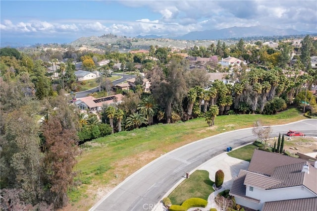 1389 Ocotillo Dr, Riverside, CA 92506 - photo 2