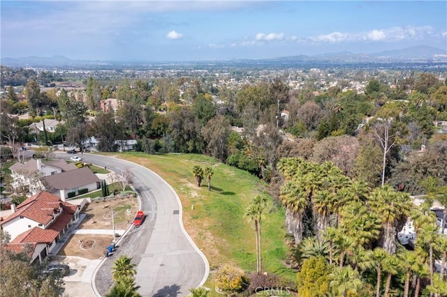 1383 Ocotillo Dr, Riverside, CA 92506 - photo 8