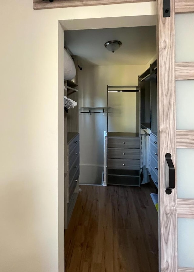 spacious closet featuring dark hardwood / wood-style floors