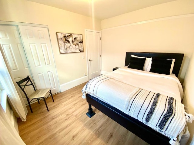 bedroom featuring a closet and wood-type flooring