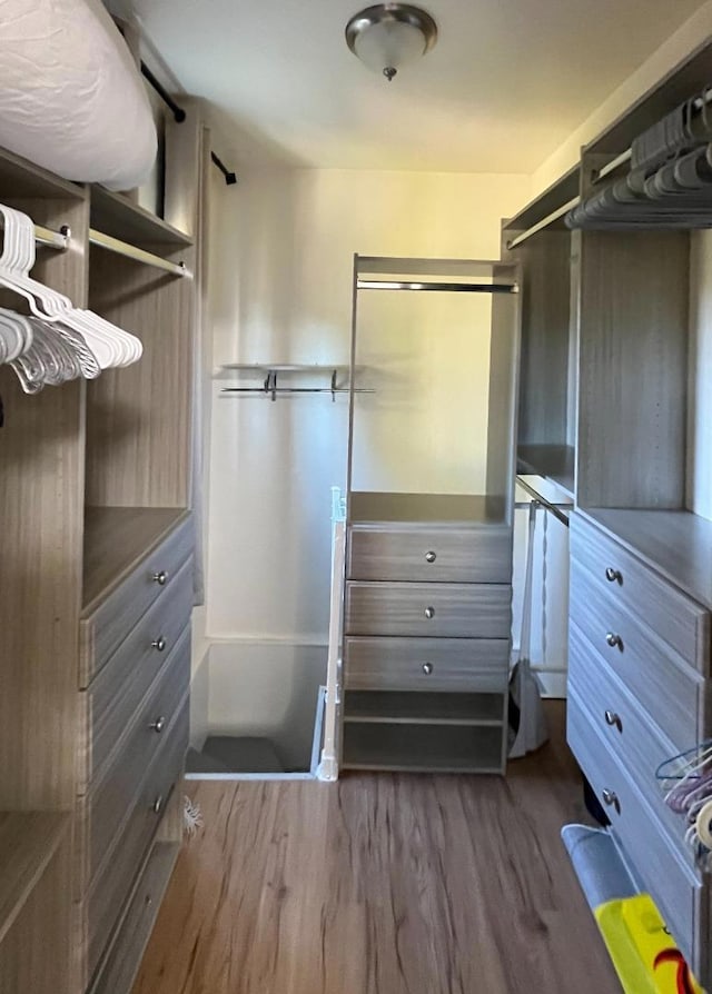 walk in closet with wood-type flooring