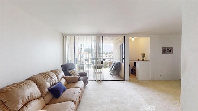 living room featuring carpet flooring and floor to ceiling windows