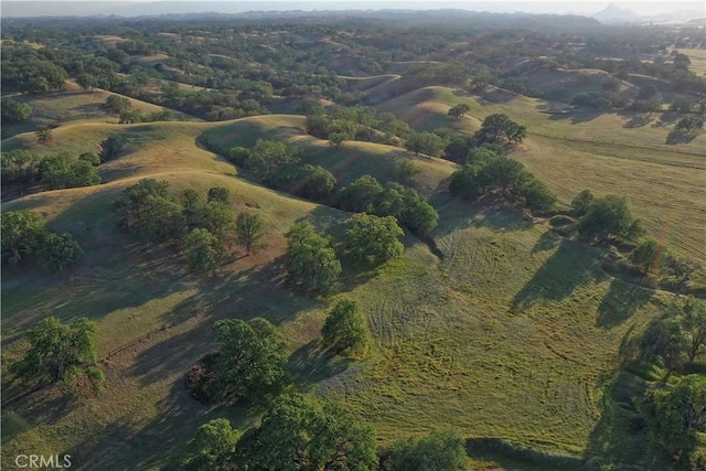 drone / aerial view featuring a rural view