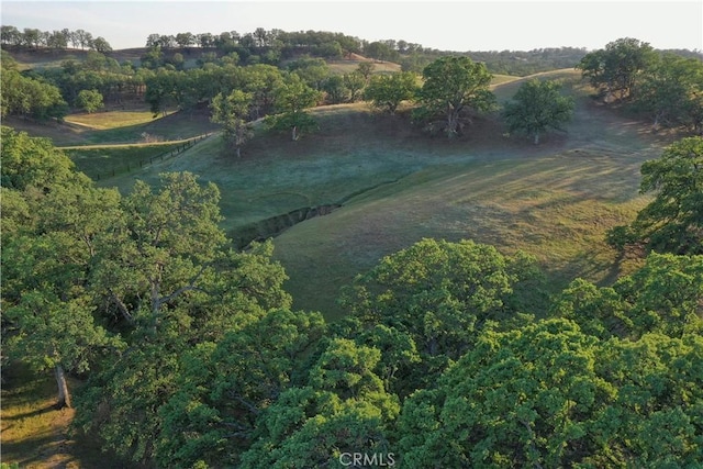 birds eye view of property with a rural view