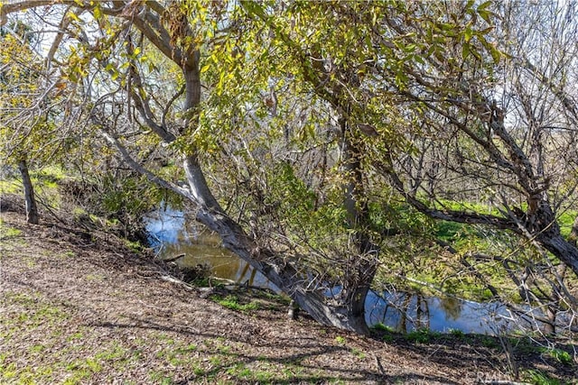 view of local wilderness featuring a water view