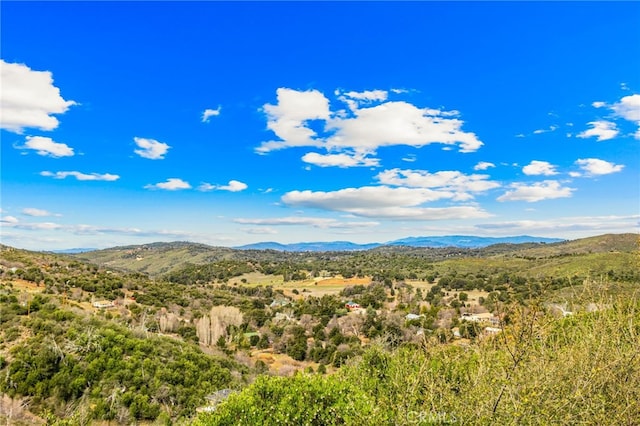 view of mountain feature