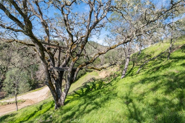 14615 Chimney Rock Rd, Paso Robles, CA 93446 - photo 12