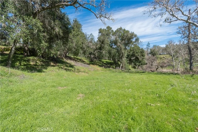 14615 Chimney Rock Rd, Paso Robles, CA 93446 - photo 8