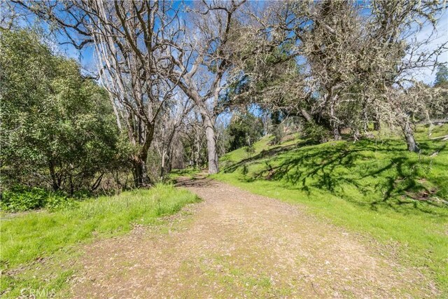 14615 Chimney Rock Rd, Paso Robles, CA 93446 - photo 9
