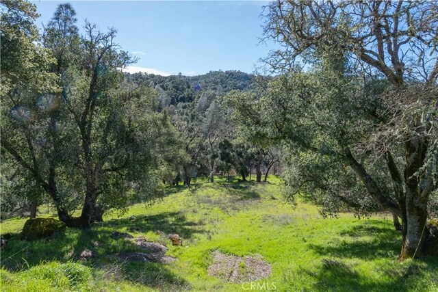 14615 Chimney Rock Rd, Paso Robles, CA 93446 - photo 11