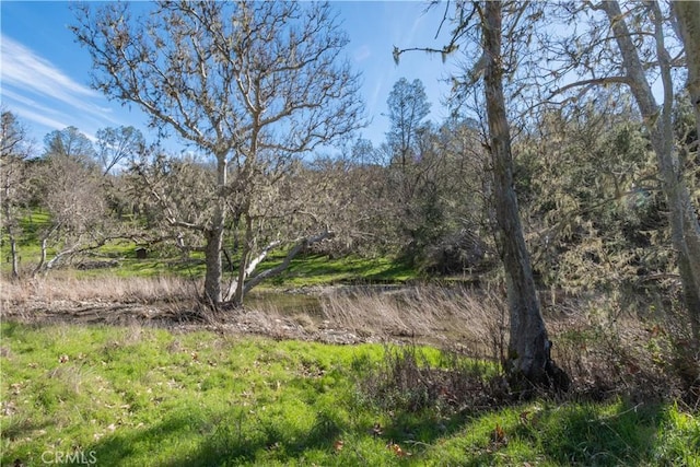 14615 Chimney Rock Rd, Paso Robles, CA 93446 - photo 21