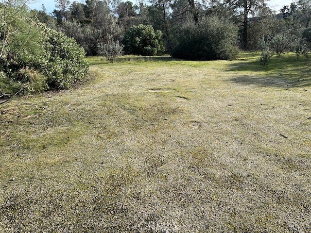 0 S Long Hollow Ct, Coarsegold, CA 93614