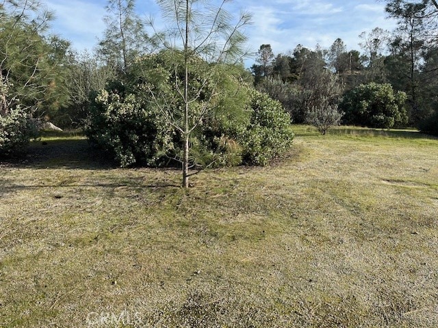 Listing photo 3 for 0 S Long Hollow Ct, Coarsegold CA 93614