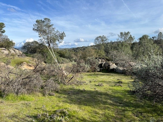 0 S Long Hollow Ct, Coarsegold, CA 93614
