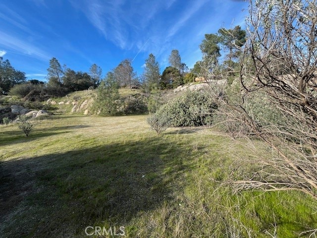 0 S Long Hollow Ct, Coarsegold, CA 93614