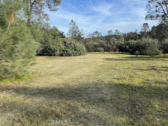 0 S Long Hollow Ct, Coarsegold, CA 93614