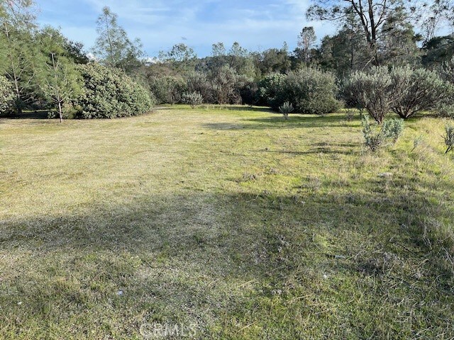 0 S Long Hollow Ct, Coarsegold, CA 93614