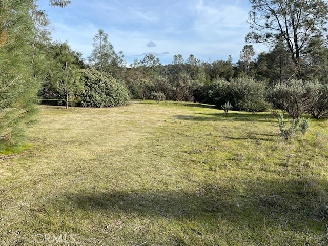 0 S Long Hollow Ct, Coarsegold CA, 93614 land for sale