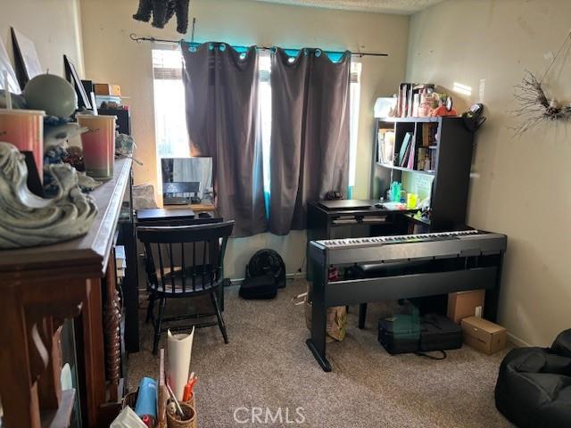 miscellaneous room featuring a textured ceiling and carpet