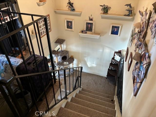 stairway with carpet floors