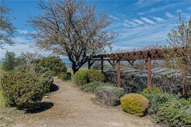 view of yard featuring a pergola