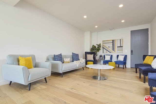 living room with light wood-type flooring