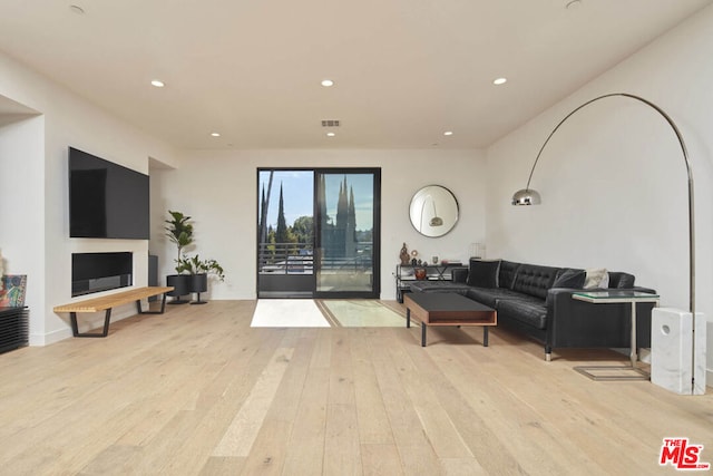 living room featuring light hardwood / wood-style floors