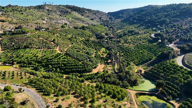 drone / aerial view with a mountain view