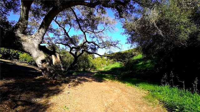 view of road