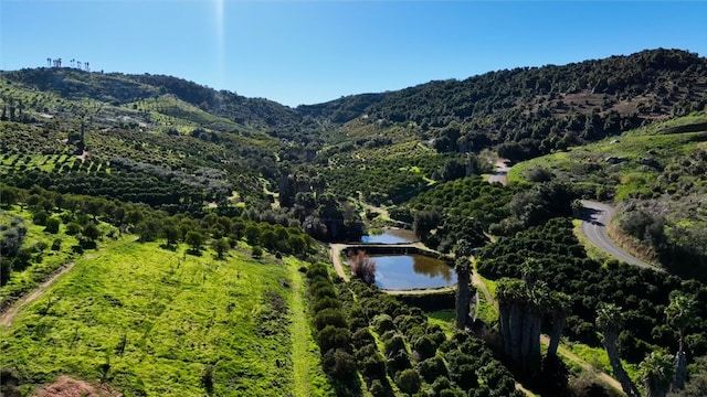 drone / aerial view featuring a water and mountain view